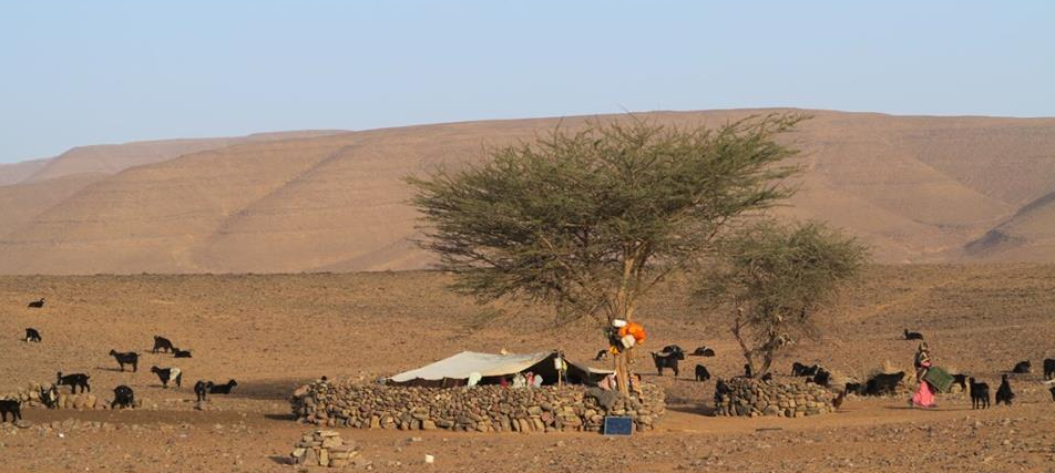 Vie nomade au désert du Maroc